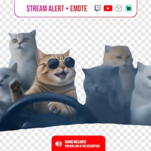 Pode incluir: Imagem humorística de gatos, um deles usando óculos de sol e dirigindo. O texto "STREAM ALERT + EMOTE" está no topo. Um botão vermelho na parte inferior diz "SOUND INCLUDED". Os gatos são de várias cores.