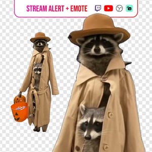Puede incluir: Imagen de un mapache con una gabardina color canela y un sombrero marrón. Un mapache más pequeño es visible dentro del abrigo. La imagen incluye un cubo de calabaza y el texto "STREAM ALERT + EMOTE".