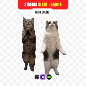 Scuba Dance Dancing Cats Stream Alert Animerad Meme Emote för Twitch Kick OBS, Söt Kattunge Ljudvarning, Rolig Chat Overlay Hype