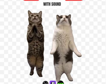 Scuba Dance Dancing Cats Stream Alert Animated Meme Emote for Twitch Kick OBS, Cute Kitten Sound Alert, Funny Chat Overlay Hype