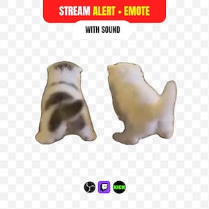 May include: A digital stream alert and emote graphic featuring two small, white and brown cats viewed from behind. The top text reads STREAM ALERT + EMOTE WITH SOUND. Below the cats are three small circular icons representing OBS, Twitch, and Kick.