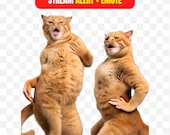Funny Dancing Cat Twitch Alert & Emote, Sassy Animated Stream Alert, Meme Overlay for Kick OBS, Orange Tabby Dance Gift