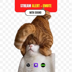 Könnte beinhalten: Eine digitale Grafik mit einer orangefarbenen getigerten Katze, die auf einer weißen Katze sitzt. Darüber befindet sich ein rotes Banner mit dem Text STREAM ALERT + EMOTE und einem weißen Button mit der Aufschrift WITH SOUND. Unten sind drei runde Symbole für OBS, Twitch und Kick.