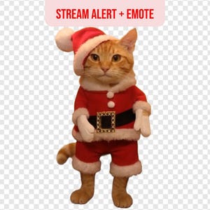Puede incluir: Un gato jengibre vestido con un disfraz de Papá Noel, con gorro rojo, chaqueta, pantalón y guantes. El disfraz tiene ribetes blancos y un cinturón negro con hebilla dorada. El texto "STREAM ALERT + EMOTE" está en la parte superior.