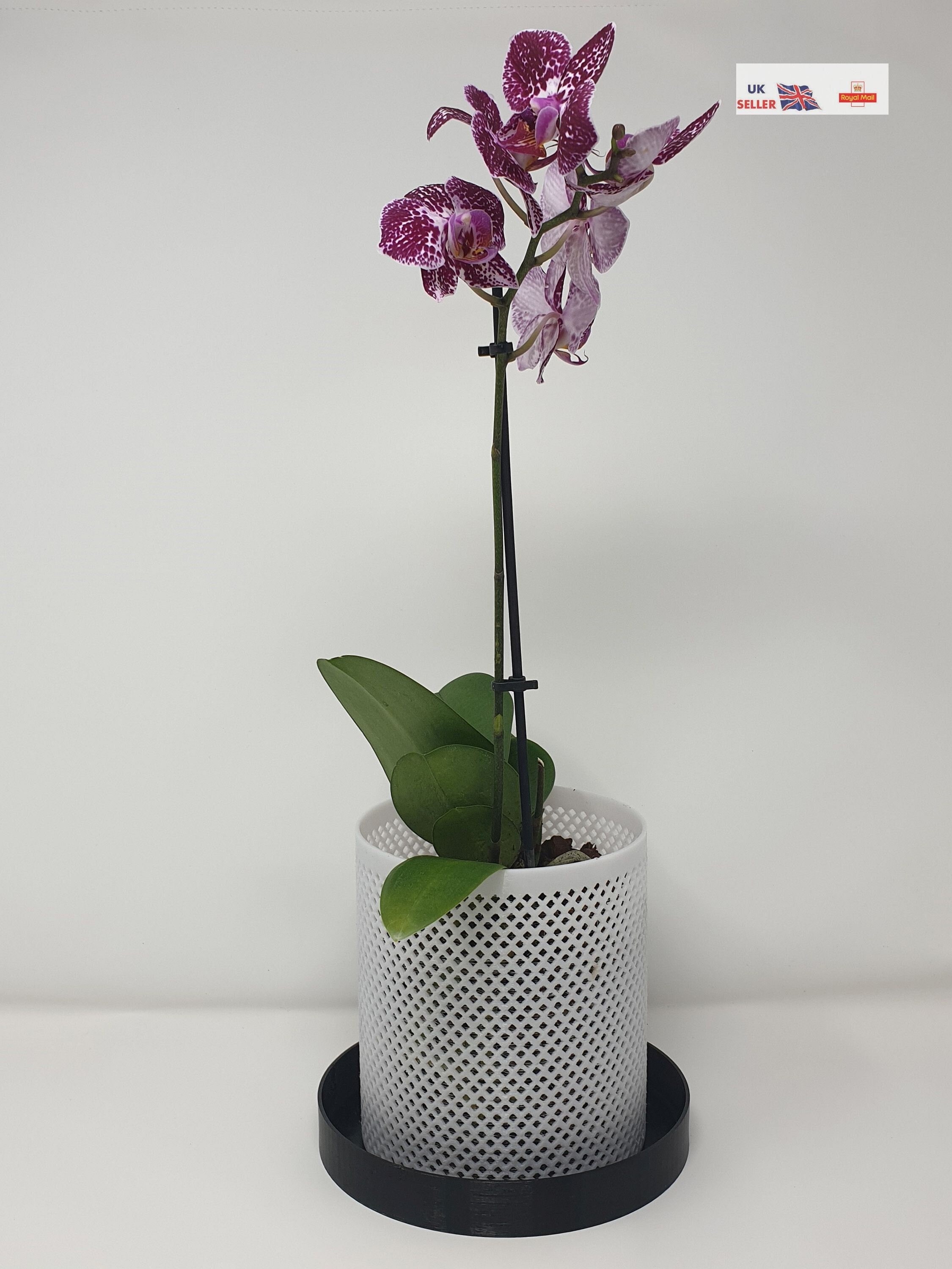 Modular Orchid Print Pleated プリーツカーディガン Modular Orchid Print Pleated プリーツカーディガン