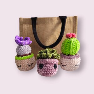 May include: Three crocheted succulent plants in pots with cute faces. The plants are green, purple, and pink. The pots are beige and have green trim. The plants are in a brown burlap tote bag with black handles.