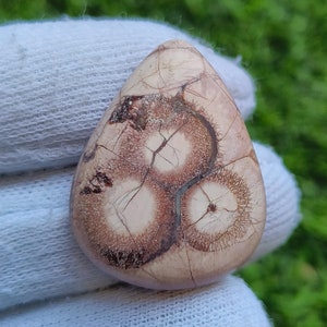 Muy raro // Piedra preciosa de ojo de pájaro Cabujón de ojo de pájaro Ojo de pájaro Suelto semiprecioso Fabricación de joyas de ojo de pájaro [26 ct 26X25x6 mm] #1633