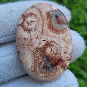 100% Natural Olho de Pássaro Pedra Preciosa Olho de Pássaro Cabochão Olho de Pássaro Olho de Pássaro Solto Semi Precioso Olho de Pássaro Joias [35ct 39X28x4 mm] #1630
