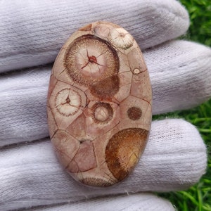 Cabochon en oeil d'oiseau naturel Oeil d'oiseau en vrac, semi-précieux, fabrication de bijoux [46 carats, 47 x 29 x 5 mm] n° 455