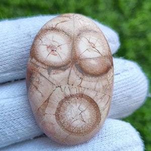 Cabochão de pedra preciosa natural olho de pássaro olho de pássaro olho de pássaro semiprecioso solto olho de pássaro joalheria [37ct 39X26x5 mm] #1622