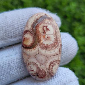 muito raro || Pedra preciosa olho de pássaro Cabochão olho de pássaro Olho de pássaro Semiprecioso solto Olho de pássaro Joias [27ct 27X22x5 mm] #1634