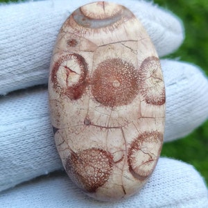 100% natural olho de pássaro pedra preciosa olho de pássaro cabochão olho de pássaro solto semi precioso olho de pássaro joalheria [50ct 44X26x7 mm] #1628