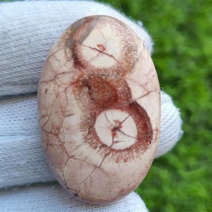 muito raro || Pedra preciosa olho de pássaro Cabochão olho de pássaro Olho de pássaro Semiprecioso solto Olho de pássaro Joias [38ct 38X25x5 mm] #1631