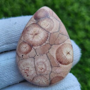 100% Natural Olho de Pássaro Pedra Preciosa Olho de Pássaro Cabochão Olho de Pássaro Olho de Pássaro Solto Semi Precioso Olho de Pássaro Joias [52ct 44X31x6 mm] #1626