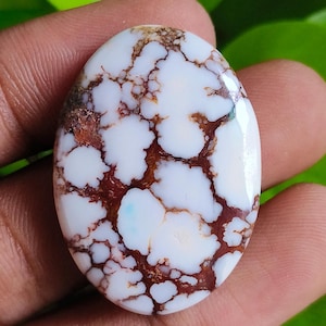 Wildes Pferd Cabochon Edelstein Natürliche Wilde Pferd Magnesit Lose Stein Handgemachtes Wildes Pferd für die Herstellung von Schmuck 45Cts.