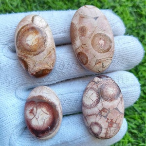 Muito raro || Lote de pedras preciosas olho de pássaro, cabochão olho de pássaro, olho de pássaro, semiprecioso solto, fabricação de joias olho de pássaro [106 cts, quantidade -4 peças] #1642