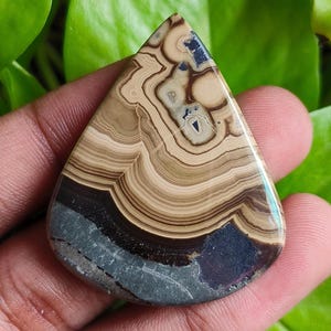 Puede incluir: Una gema pulida en forma de lágrima con un patrón único de bandas beige, marrón y gris. La piedra tiene una superficie lisa y una base gris azulado oscuro. La gema se presenta sobre un fondo de hojas verdes.