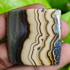 Puede incluir: Una piedra preciosa rectangular con un patrón único de remolinos beige, marrón y azul oscuro. La piedra tiene una superficie pulida y se sostiene en una mano sobre un fondo de follaje verde. El diseño de la piedra se asemeja a un paisaje.