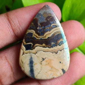 Puede incluir: Una gema en forma de lágrima con un patrón único de capas beige, marrón y azul. La piedra pulida tiene una superficie lisa y un aspecto natural y terroso. La gema se sostiene en una mano, con follaje verde en el fondo.