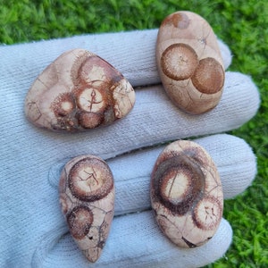 Muy raro // Lote de piedras preciosas de ojo de pájaro, cabujón de ojo de pájaro, ojo de pájaro, semiprecioso suelto, fabricación de joyas de ojo de pájaro [102 cts, cantidad: 4 piezas] n.º 1637