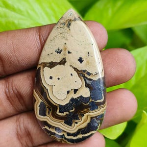Puede incluir: Una piedra preciosa en forma de lágrima con un patrón único de remolinos y motas beige, marrón y negro. La piedra pulida tiene una superficie lisa y se sostiene en una mano sobre un fondo de follaje verde. Ideal para la creación de joyas.