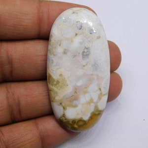 Geweldige Cobra Jaspis Edelsteen Goede Kwaliteit Stone King Cobra Jaspis Cabochon Sieraden Maken Cadeau Steen 84 Cts {53X21} MM #190