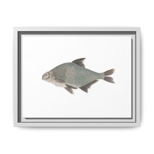 Framed Fish Artwork, Rustic Home Decor Print, Aquatic Wall Art, Unique Gift for Fish Lovers, Kitchen Decor, Nature-Inspired Design, Gallery