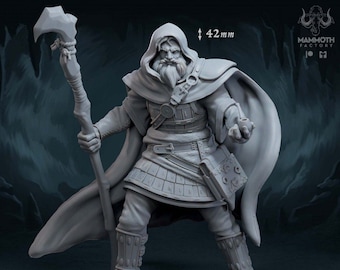 DnD Fire Sorcerer Hero mini DnD miniatures Playable Characters mini for Dungeons and Dragons mini for Heroquest ttrpg Gaming I Mammoth