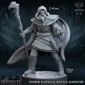 DnD Fire Sorcerer Hero mini DnD miniatures Playable Characters mini for Dungeons and Dragons mini for Heroquest ttrpg Gaming I Mammoth