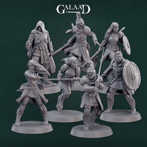 May include: A set of seven grey plastic miniature figures of fantasy characters, including a hooded figure, a knight with a helmet, a female warrior with a shield, and a female warrior with a sword. The figures are standing on round bases.
