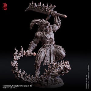 May include: A detailed miniature figurine of a horned, demonic creature wielding a flaming sword. The figure is standing on a base of skulls and flames, with the text "Vorthrax, Conclave Sentinel 01" and "Medium - 25 mm" below.