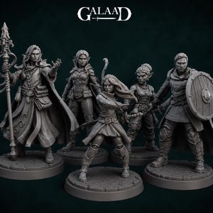 DnD Starter character set Lost Mines of Phandelver Hero mini miniature Bundle Dungeons and Dragons mini set for  hero pack TTRPG Party