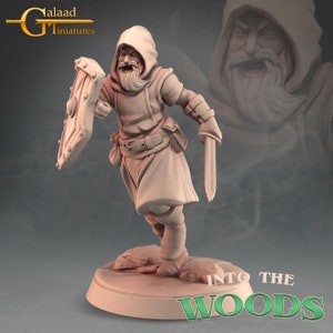 Dnd Ranger Mini Dnd Ranger Miniatures Bundle Mini for Dungeons and Dragons Thief Mini ...