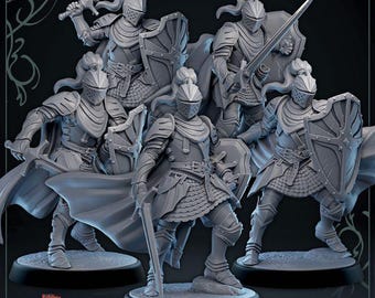 DnD Knight miniature Bundle for Dungeon quest set Dungeons and Dragons mini paladin knights mini set for Heroquest hero pack TTRPG