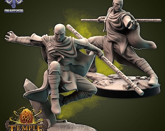 DnD Human Monk miniature for DnD mini Fighter Characters mini for Dungeons and Dragons mini for Heroquest ttrpg Gaming air elemental monks