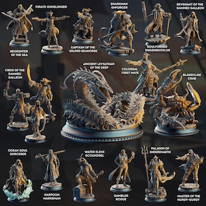 DnD Pirate miniature Bundle for Dungeon quest set Dungeons and Dragons mini pirate campaign mini set for Heroquest hero pack TTRPG