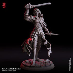 DnD Pirate Captain miniature Bundle for Dungeon quest set Dungeons and Dragons mini pirate campaign mini set for Heroquest hero pack TTRPG
