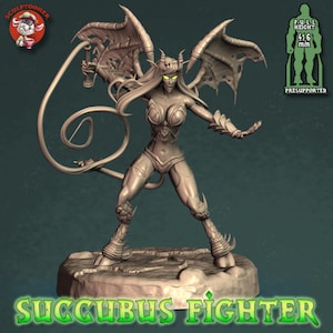 May include: A gray 3D printed miniature of a female succubus fighter with wings, a tail, and a whip. The miniature is standing on a circular base and is approximately 4.16 inches tall.