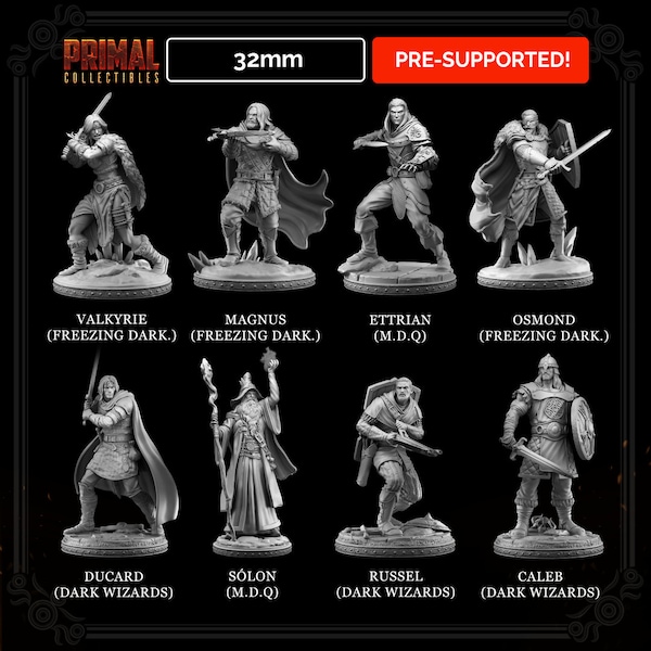 DnD Hero miniatures Bundle Playable Characters mini for Dungeons and Dragons mini Primal collections for Heroquest ttrpg Tabletop Gaming
