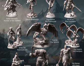 DnD Starter Campaign miniatures Beginners dnd set Dungeons and Dragons mini collections for Heroquest role playing dice game bundle DM gift
