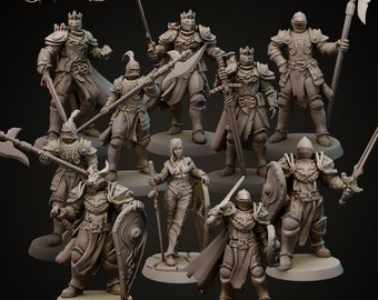 May include: A set of nine miniature figures, including knights, a warrior, and a female figure, all in a gray color scheme. The figures are posed in various fighting stances and are holding weapons such as swords, axes, and shields. The figures are standing on circular bases.