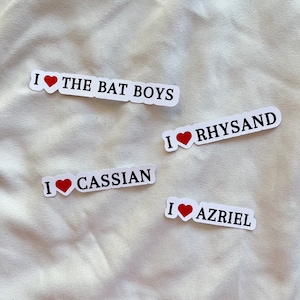 Naklejka I Heart Book Boyfriends | Naklejki SJM Men | Naklejka Bat Boys | Naklejka Rhysand, Cassian, Azriel | Naklejka Bookish | Naklejka Kindle