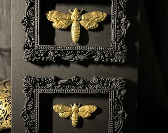 Cadre double sur support papillons de nuit dorés - dark art - gothique