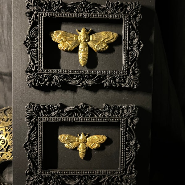 Cadre double sur support papillons de nuit dorés - dark art - gothique