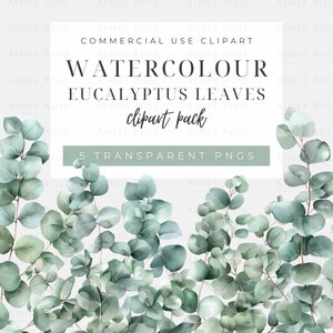 Watercolour Eucalyptus Leaves Clipart Collection - Greenery PNG, Transparent Leaf Graphics, Digital Botanicals for Invitations, Scrapbooking