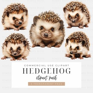 Bundle de cliparts hérisson - PNG haute résolution, téléchargement immédiat, illustrations d'animaux mignons pour le scrapbooking, art numérique, usage Commercial