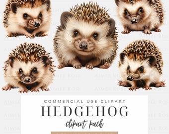 Hedgehog Clipart Bundle - High-Resolution PNG, Instant Download, Cute Animal Illustrations for Scrapbooking, Digital Art, Commercial Use