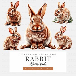 Rabbit Clipart Set - Lifelike Bunny PNG Images, Transparent Background, Digital Download, Easter and Spring Crafts, Scrapbooking