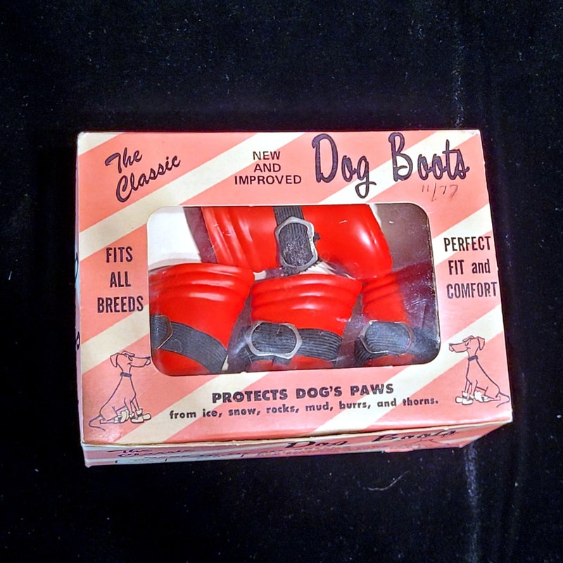 bobs rain boots dogs