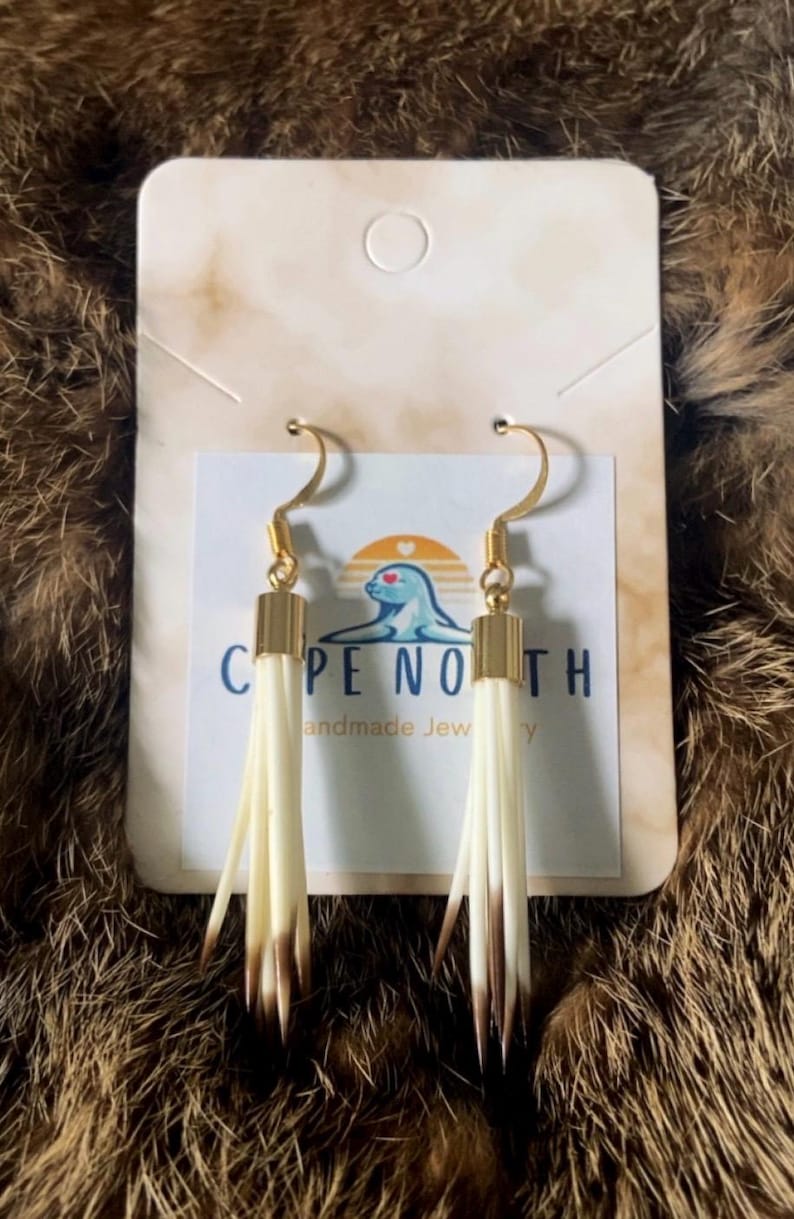 Porcupine Quill Earrings 24k Plated gold hooks 8 Quills